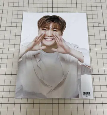 [ 귀중 ] 아스트로 비니 대형 사진 K-POP 아이돌