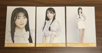 노기자카46 브로마이드 스즈키 유나 빅 보타이 블라우스 컴프 3장