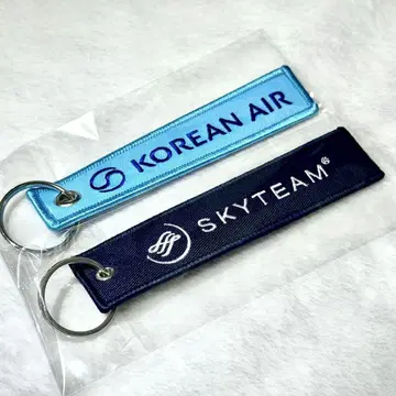 대한항공 신 페인팅 자수 스카이팀 로고 플라이트 택 2개 세트 서울 한국