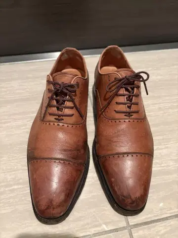 스코치 그레인 SCOTCH GRAIN 스트레이트 팁 브라운 24.5cm