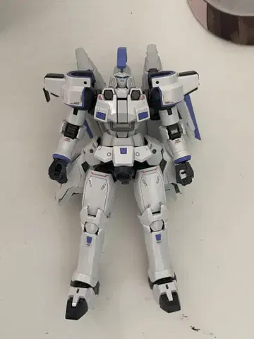 RG 톨기스