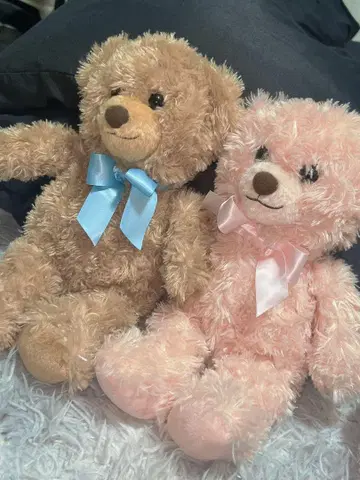 브라운과 핑크 봉제 인형 2개 세트