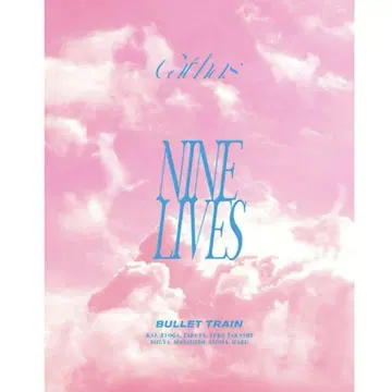 완전 생산 한정판 초특급 NINE LIVES