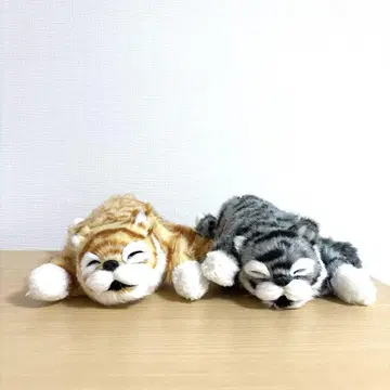 골골냥코 기믹 봉제 인형 2종 세트