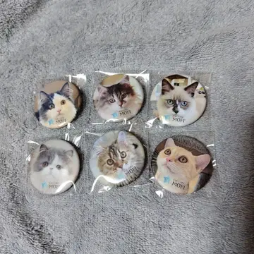 고양이 카페 moff 가챠가챠 캔뱃지 이온몰 하마마츠시토로점
