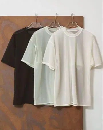 todayful Halfsleeve Sheer T-shirts