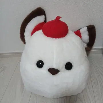AMUFUN 복복 시마연가 가을 컬러