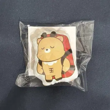 RIIZE 라이즈 팝업 쿠션 키링 성찬