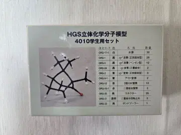 HGS 입체 화학 분자 모형 4010 학생용 세트