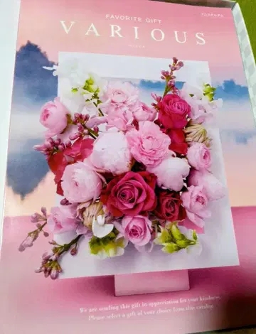 새상품 카탈로그 기프트 바리아스 암스테르담