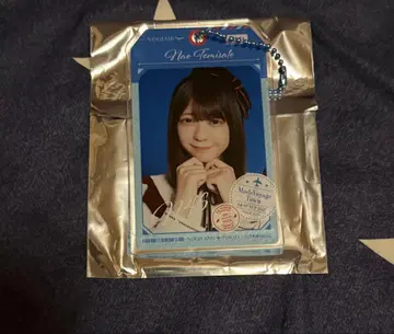 Nae Tominaga 키링 사카미치 시리즈