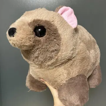 최종 가격 인하 너구리 퐁퐁 BIG 봉제 인형 너구리