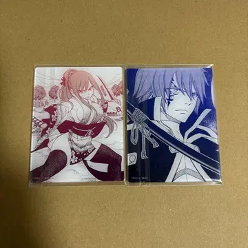 FAIRY TAIL TSUTAYA 아크릴 카드 엘자 젤라르