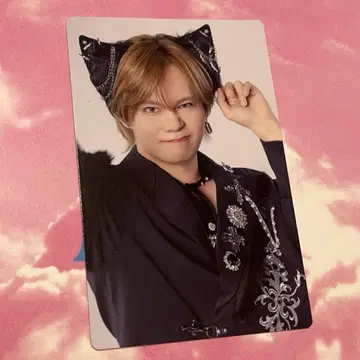 초특급 NINE LIVES 완전 생산 한정판 트레이딩 카드 카이