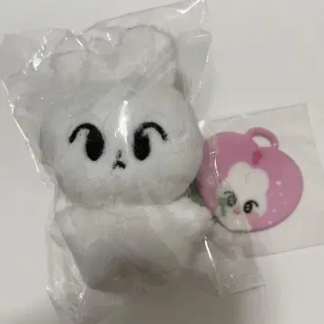 NCT 도영 비둘기 봉제 인형 10cm