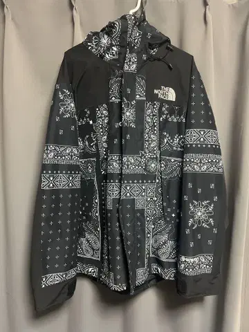 THE NORTH FACE 1990 MOUNTAIN JACKET L
