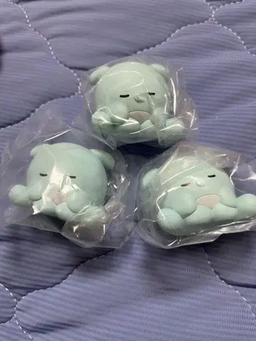 러브이즈 어깨 쿵 fig. 파오파오 3개 세트