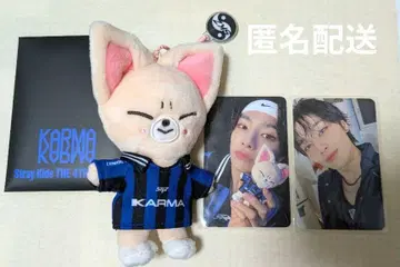 아이엔 폭시니 키링 SKZOO KARMA