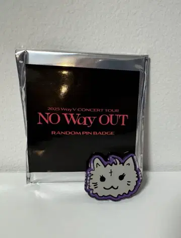 wayv 텐 랜덤 핀 배지 no way out
