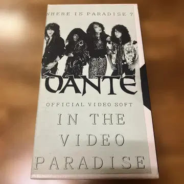 DANTE IN THE VIDEO PARADISE