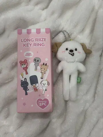 RIIZE 앤톤 WE LITTLE RIIZE POPUP 키링