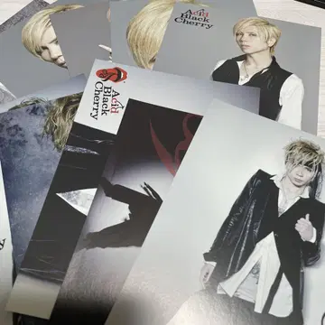 Acid Black Cherry 69 sixnine 엽서 세트