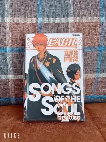 BLEACH SONG'S OF THE SOUL 쿠보 타이토