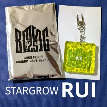 [ 당일 발송 ] 루이 RUl 웨이브 키링 BMSG 페스티벌 25