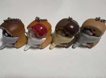 꼬옥 새 문조 4개 세트