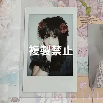 사쿠라바 하루카 시즈쿠땅 폴라로이드