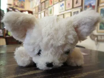 몽수이유 작은 강아지 봉제 인형 파프스 치와와 도그
