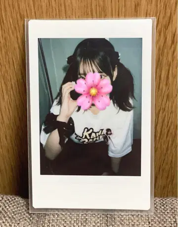 사쿠라바 하루카 파루탄 폴라로이드 대혜택회