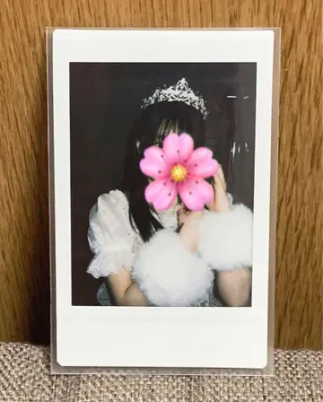사쿠라바 하루카 파루탄 폴라로이드 생일 축하제