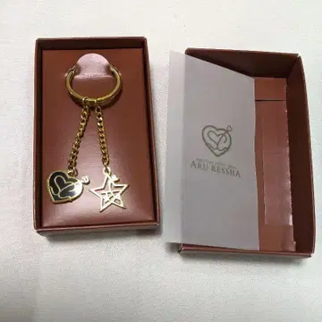 JR 규슈 어느 기차 키체인 키링