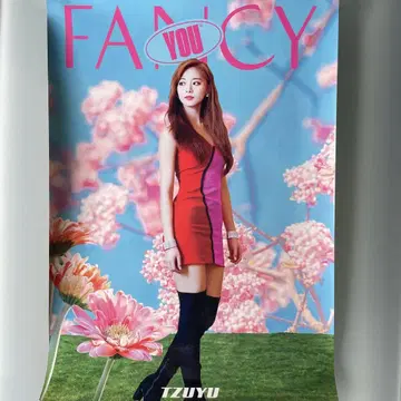 TWICE TZUYU 쯔위 사진 A3 포스터 30x42cm