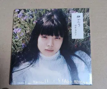 미개봉 새상품 카네코 아야노 군레타치 CD