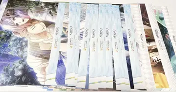 오토메이트 런치 매트 노룬의 인터넷