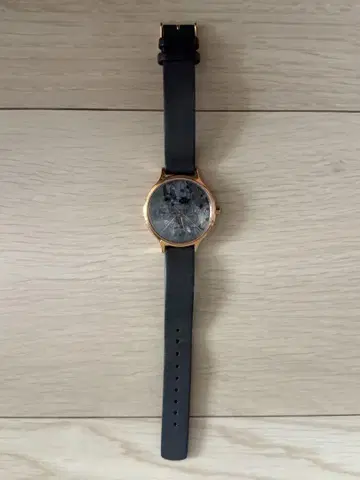 SKAGEN 블랙 골드 아날로그 시계