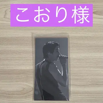 코오리님