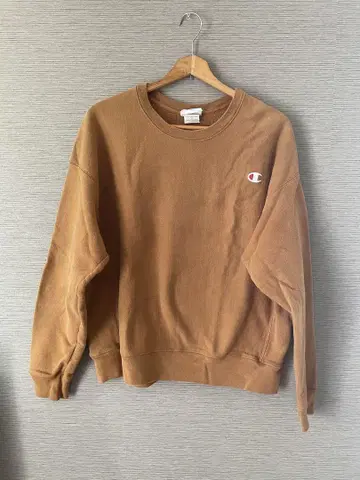 champion 리버스 위브 레어 컬러