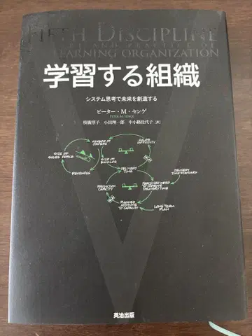 학습하는 조직 시스템 사고로 미래를 창조한다