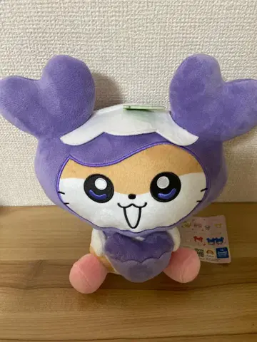 트와이스 사나 러블리 산리오 캐릭터