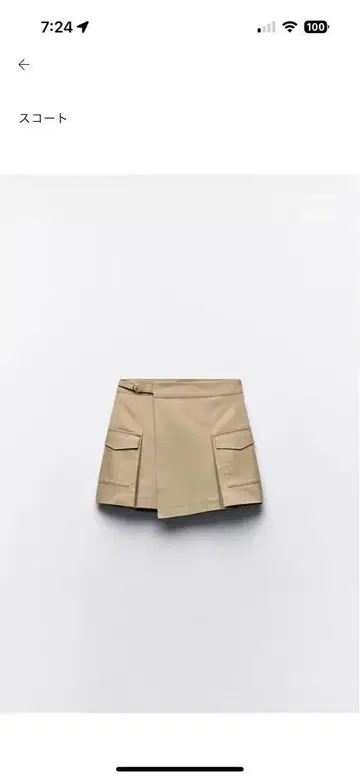 ZARA 스커트