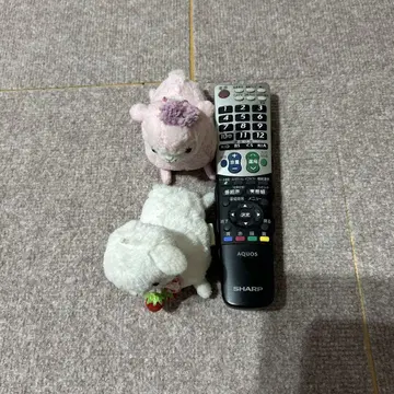 알파카