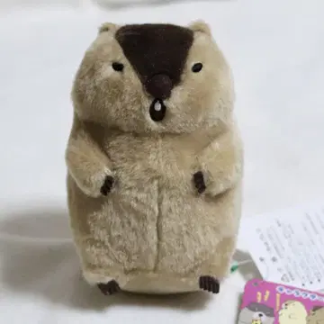 마모트의 모토토모아 ST 야마모토