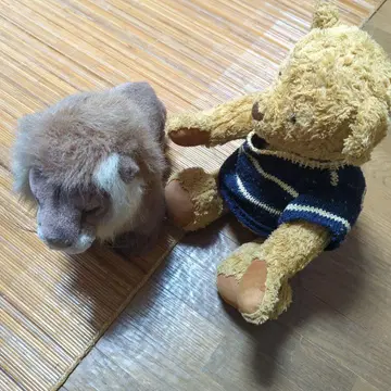 사자와 곰 봉제 인형 세트
