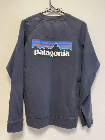 patagonia 맨투맨