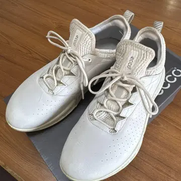 에코 바이오무 C4 고어텍스 골프화