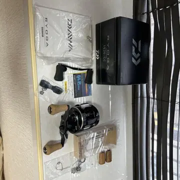 18 RYOGA 1520cc 커스텀