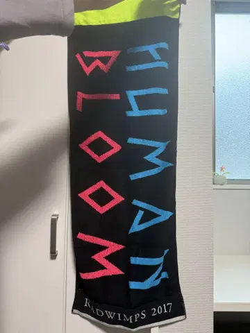 RADWIMPS 타월 2장 세트